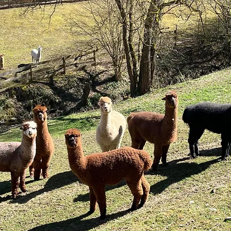 Appartamento Schwitalla